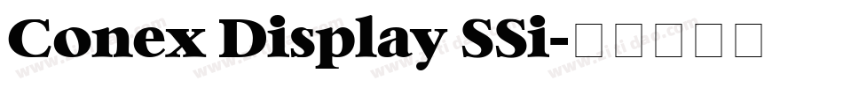 Conex Display SSi字体转换